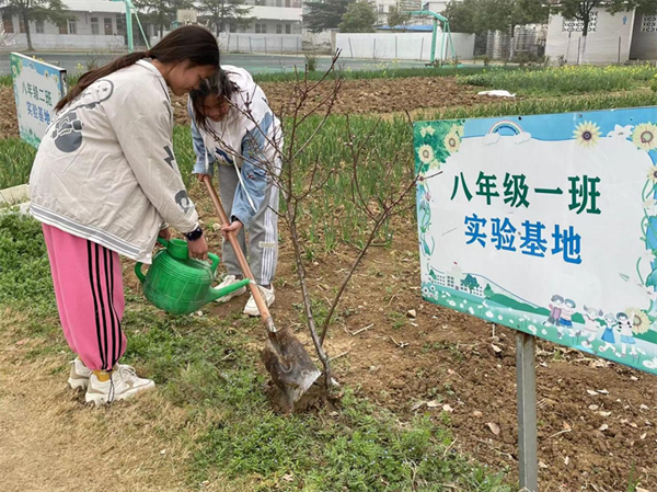 在淮南生活怎么样_淮南生活方式_安徽淮南农村生活图片