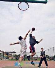 篮球野球场用什么规则_野球场基本篮球规则有哪些_篮球野球场适合什么打法