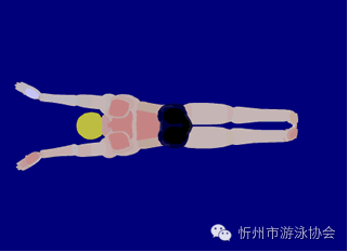 游泳呼吸的三要领视频_游泳呼吸技巧与训练方法_游泳呼吸高阶技巧口诀