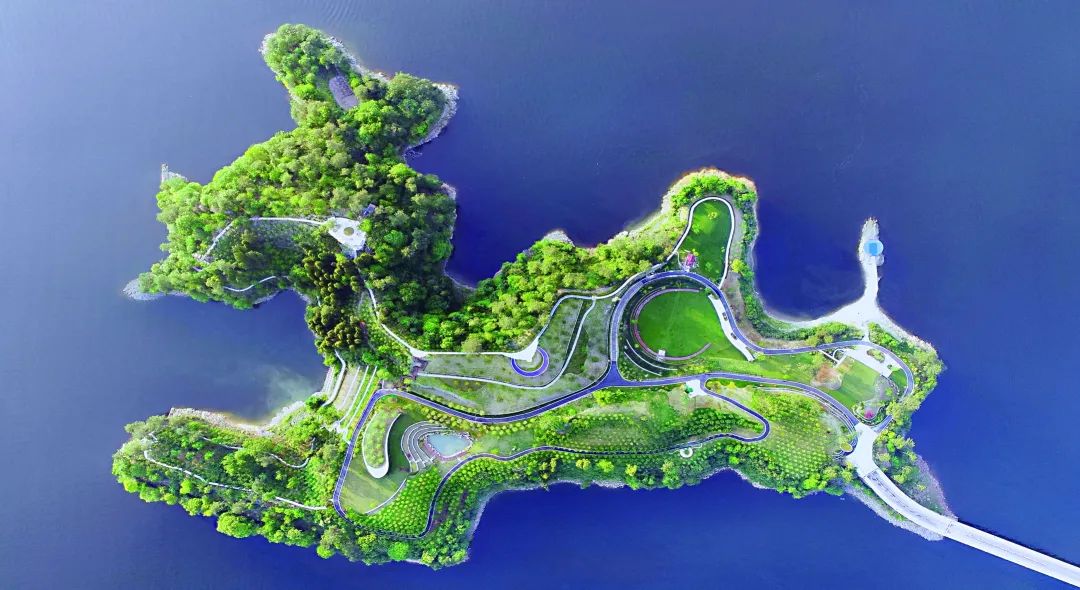 千岛湖游泳比赛_千岛湖公开水域游泳冠军赛_千岛湖公开水域游泳比赛