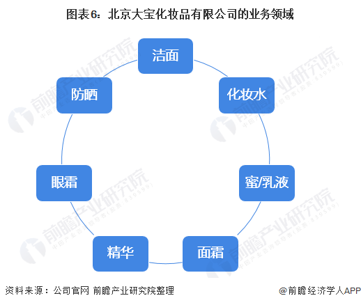 图表6：北京大宝化妆品有限公司的业务领域