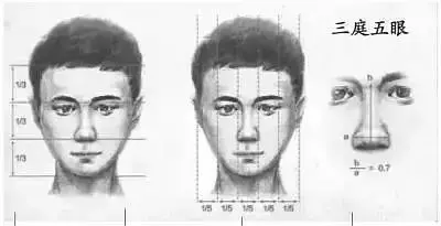 健身男星_男明星健身塑型_健身明星男塑型图片