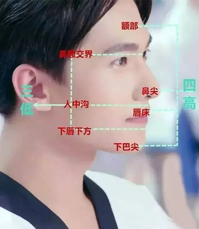 健身男星_健身明星男塑型图片_男明星健身塑型